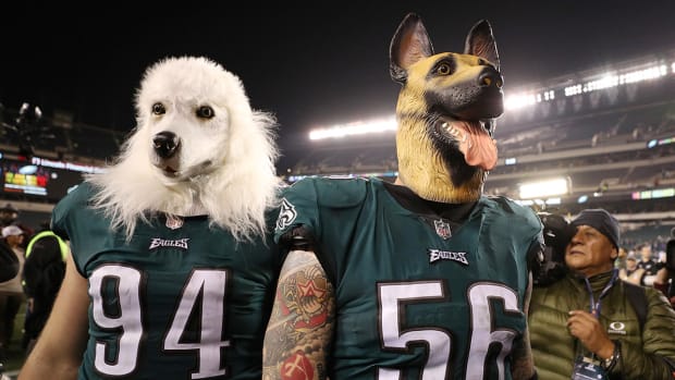 eagles-dog-masks.jpg